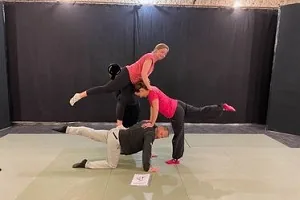 Arts du cirque